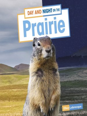 cover image of Day and Night on the Prairie